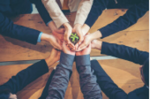 nachhaltig Lokale Partner