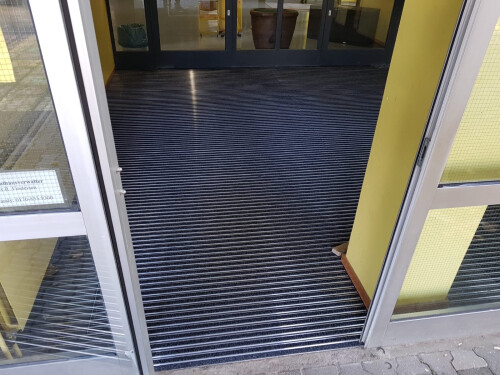 Reinstreifer Schule Frankfurt