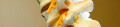 Logo Zoellner, Hans-Jörg