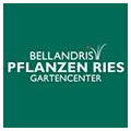 Hans Ries + Co. Garten- und Landschaftsbau KG Gartenbau