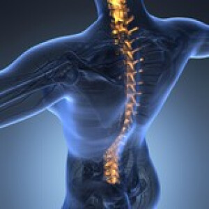 Parietale Osteopathie als Teil der Manuellen Therapie