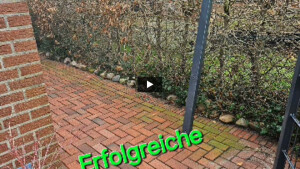 WhatsApp Video 2024-02-07 um 17.52.53_8ab08dff.mp4