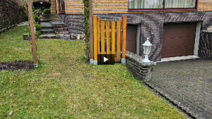 WhatsApp Video 2024-02-08 um 15.00.50_718858b7.mp4