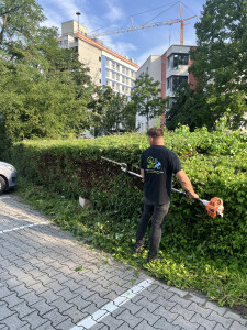 IMG_1016.jpeg