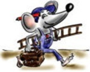 Logo Hausmeisterservice F. Ernst in Waren