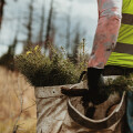 Hausmeisterservice & Gartengestaltung Torsten Kemmerling