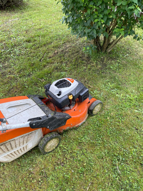 Grasmahd