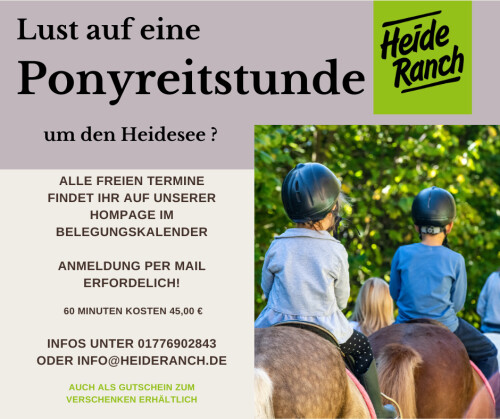 Angebot Ponyreitstunden FB (1).png