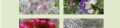 Logo Mehlko, Heiko u. Stefanie - Das Blumenzimmer