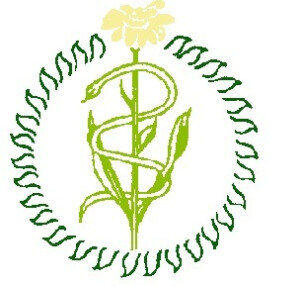 Christoph Wetteroth Heilpraktiker Klassische Homöopathie in Höchst im Odenwald