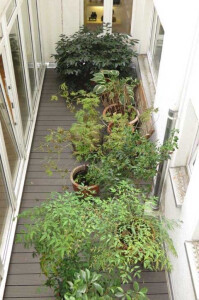 Balkonbegrünung