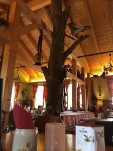 https://www.yelp.com/biz/herbsth%C3%A4uschen-waldgasthaus-kassel