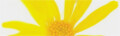 Logo Eberwein, Hildegard