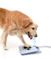 Hunde - Wasserspender
