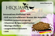 Bild: Hiquaso in Mengen, Württemberg