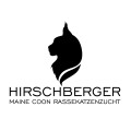 Hirschberger Maine Coon Zucht