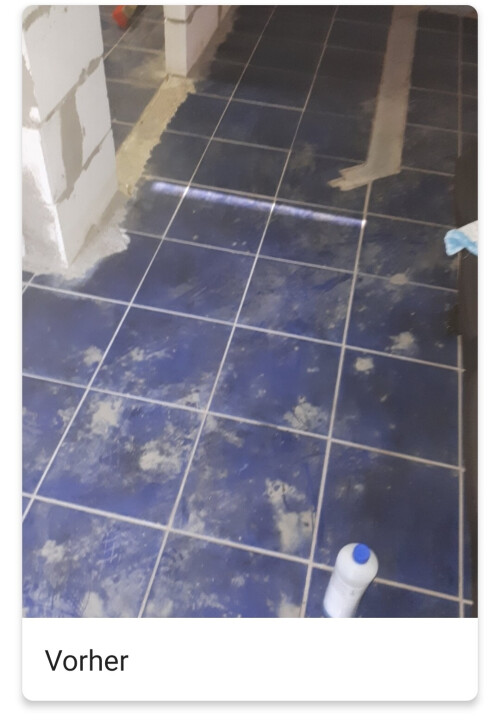 Vor der Reinigung