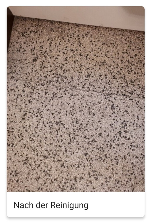 Nach der Treppenhausreinigung alles wieder sauber