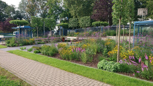 Stauden und Spaliere aus anderer Perspektive.JPG