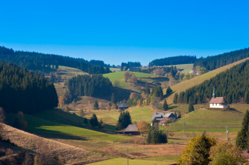 Urlaub im Schwarzwald