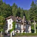 https://www.yelp.com/biz/waldheim-freiburg-im-breisgau