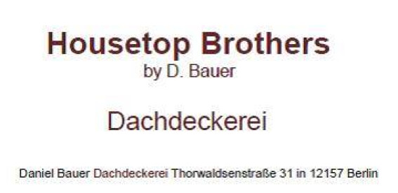 Housetop Brothers by D. Bauer