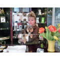Hunde & Katzensalon Black & White Dogs Coiffeur and More