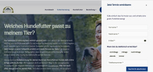 Ausschnitt von Website