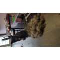 Hundesalon Fellwechsel Sandra Uhl