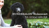 Bild: Hundesalon Hohenwart L. Paramonova Hundesalon