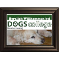 Hundeschule dogs-college