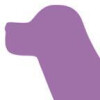 Bild: Hundeschule PottDogs Stephanie Giebel