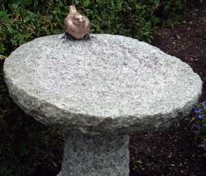 Vogeltränke als Denkmal