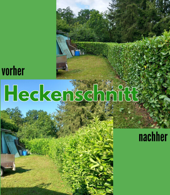 Heckenschnitt