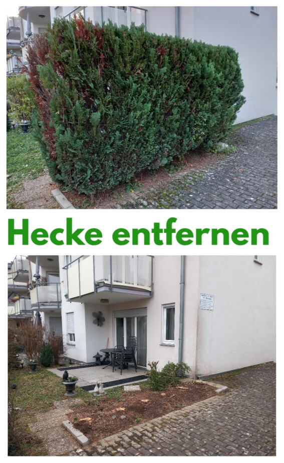 Hecke entfernen