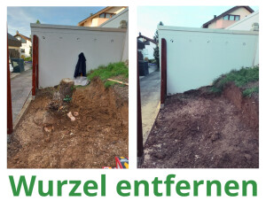 Wurzel entfernen