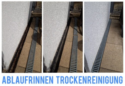 Rinnenreinigung