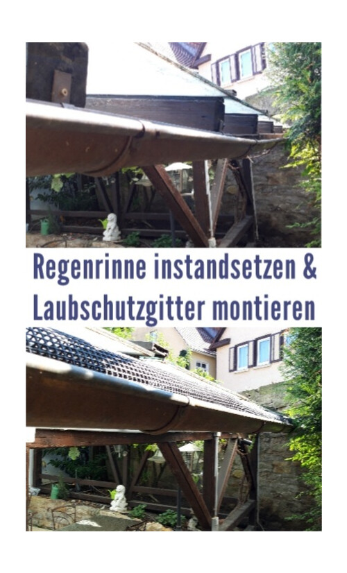 Laubschutzgitter