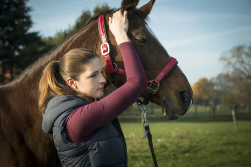 IB fit mobile Tierphysiotherapie