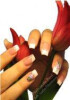 Bild: Ihr Grafschafter Nagelstudio Nails on the Road Inhaber: Nadja Neumann