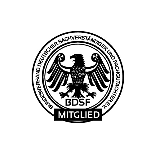 Sachverständiger
