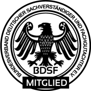 Sachverständiger