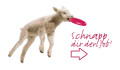 Bild: Impuls Personal GmbH in Köln