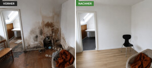Komplette Sanierung