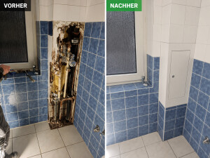 Wiederherstellung 6