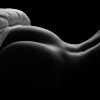 Bild: Institut IMS Dominastudio