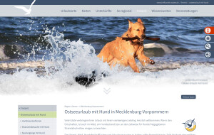 urlaub-mit-hund.jpg