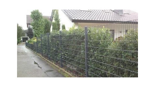 Sichtschutz