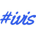 Ivis Media Berlin - Webdesign-& Marketingagentur aus Berlin