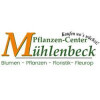 Bild: J. Mühlenbeck Pflanzencenter